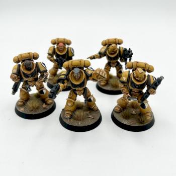 5X Primaris Intercessors Imperial fists space marines WARHAMMER 40k by juanlurockerman