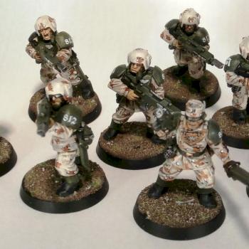 Squad 812, Imperial Guard by Elmo9141