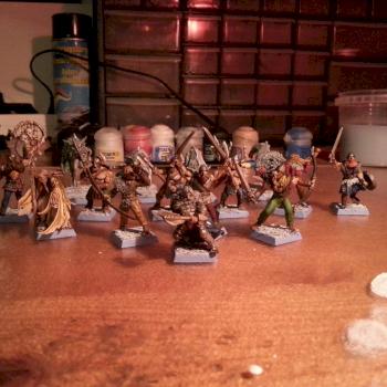 Norse Warband by Boomcakes