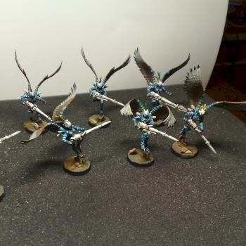 Zahr Taan Swooping Hawks by Kir Shadowwalker