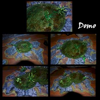 Swamp / Marais by Domo