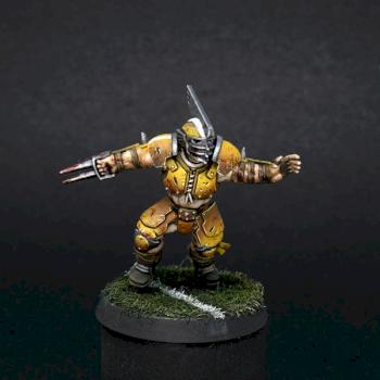 Bloodbowl Human team by honh