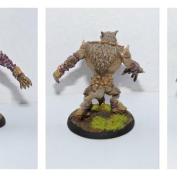 feral warpwolf cricle orboros by rafaelinium