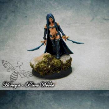 dark elf assassin by The Huntress