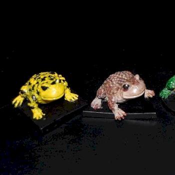 Toads for Talisman by Nefarious_Satyr