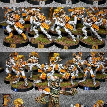 Blood bowl elf team 2ª edition by fanath