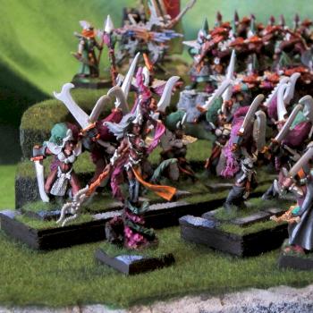 Sorceress and Witches from Cult of Slaanesh Army by Franz79