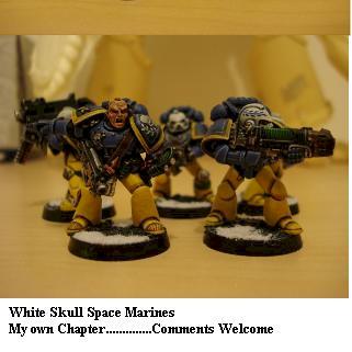 White Skulls Space Marines by Beef