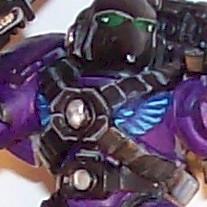 crimson rose close-up space marine by Antilles
