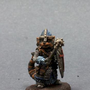 Racoon Cleric by superbug983