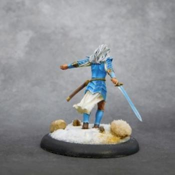 Elf warrior by The Huntress
