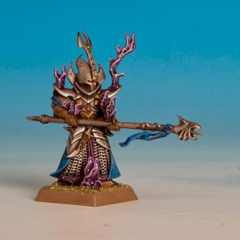 Dark Elf Sorcerer by DrDuck