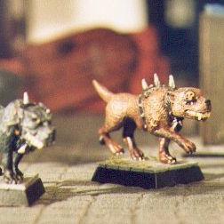 Mordheim Dogs by Alhazred