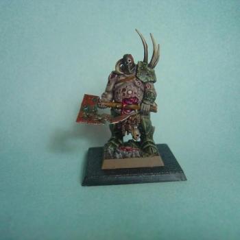 chaos nurgle hero by andreasch