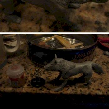 My First self-made wolf (not good) by xzxzzx
