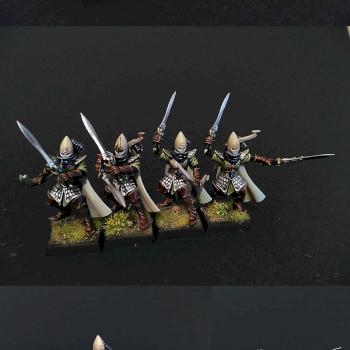 Sombrios Altos elfos / Hight Elves Shadow warriors by terrynor