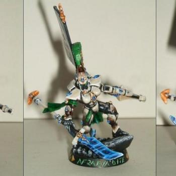 Eldar Female Dire Avenger by weaponzero