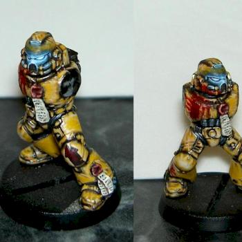 WIP Imperial Fist Space Marine by Askavi