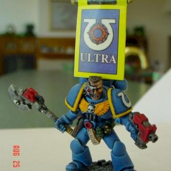 Veteran Sergeant by zim