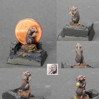 Confrontation Rat by jarhead