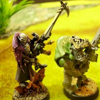 Ork Death Jester 2 by Aquilifer66