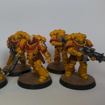 Imperial Fists Primaris Space Marines Intercessor Squad by GAS