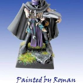 Dark Elves Assasin by focusstudio