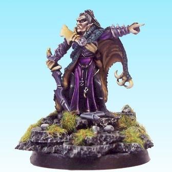 Dark Elves Noble or Champion by focusstudio