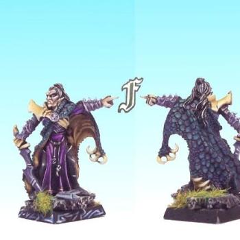Dark Elves Noble or Champion by focusstudio