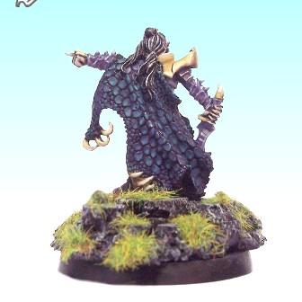 Dark Elves Noble or Champion by focusstudio