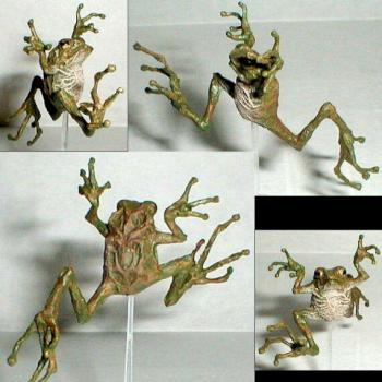 Toad by Patraw