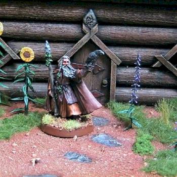 Radagast by TrickRick