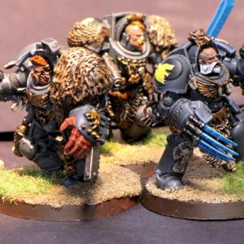 Space Wolves, 5 Wolf Guard Terminators with custom Wolf Pelts by Captain_Chronos