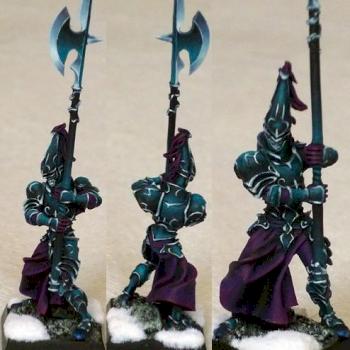 Dark elf Black Guardian by lukatme
