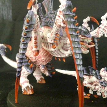 tervigon by donel