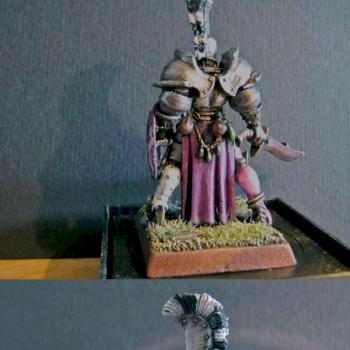 Converted Champion Of Slaanesh by corus
