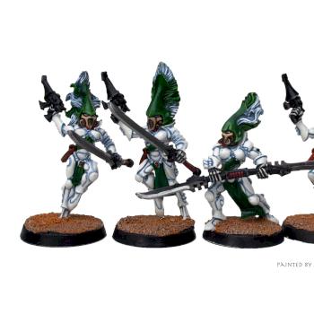 Eldar Howling Banshees by ashley hensey
