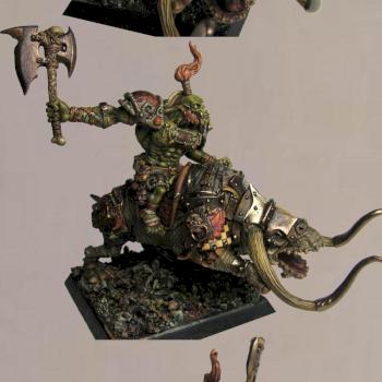 Animistic Shaman on Brontops by kraksa