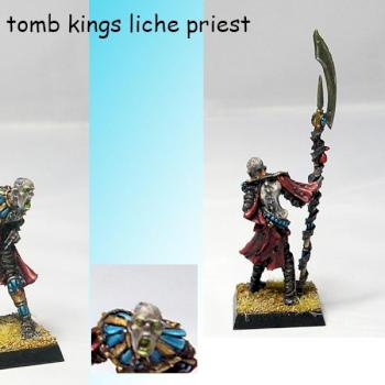 tomb kings liche priest by agyar