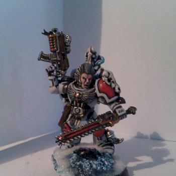 First Grey Wolve by Accipiter