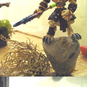 Wolfen banni by Tof
