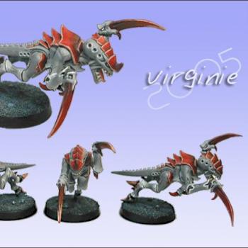 1er Gaunts par Virginie by Le Maesltrom