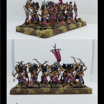 Initiates of Cult of Pleasure (Witchs Elves of Slaanesh) by felix jaeger