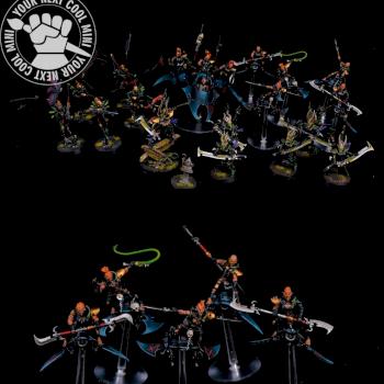 Warhammer 40k Drukhari Army by cool-minis.com