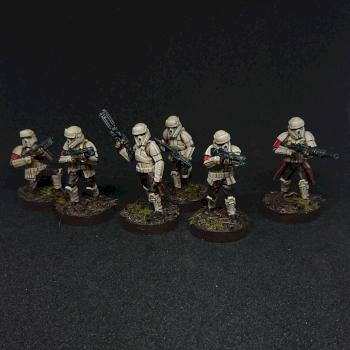 Star Wars Legion Empire Shoretrooper by Bauer