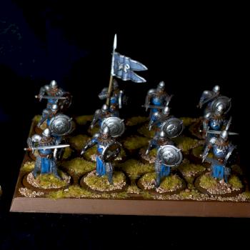 Stark Sworn Swords by darkrealm-miniatures