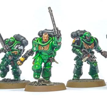 Salamander Assault Intercessors by willsham