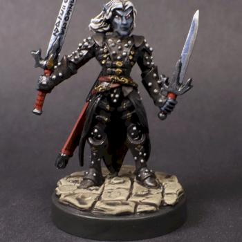 Reaper Miniatures PAINTED - TORIE DOMAN, DARK ELF - 02882 - (metal mini) by mikecarrero