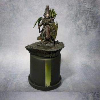 Dark Elf Dreadlord by Matpaint