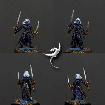 Reaper Miniatures - Torie Doman, Dark Elf by ar2roo